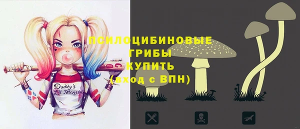 дживик Осинники