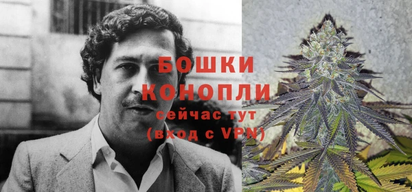 экстази Пересвет